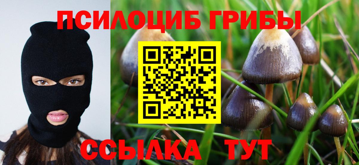 Галлюциногенные грибы MAGIC MUSHROOMS Рославль