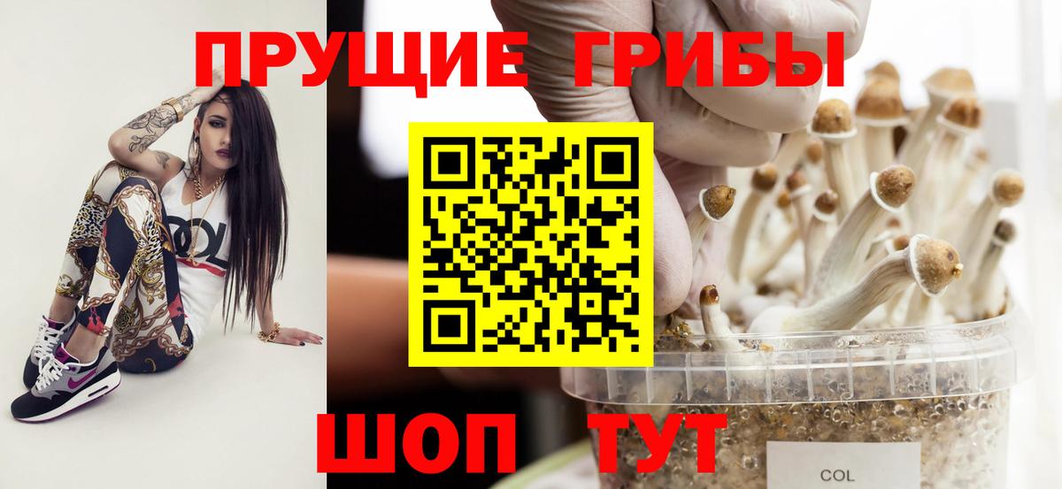 Псилоцибиновые грибы мицелий  Вход с VPN  Псилоцибиновые грибы ЛСД  Рославль 